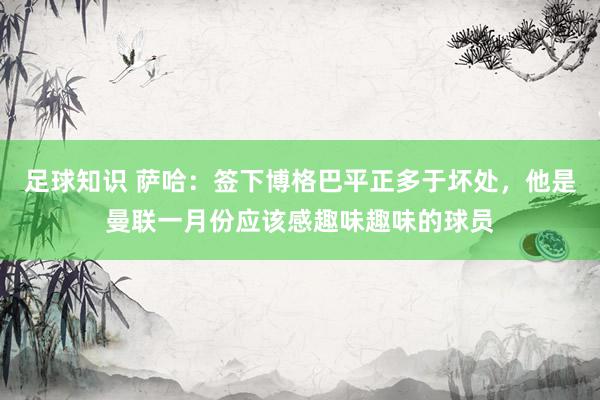 足球知识 萨哈：签下博格巴平正多于坏处，他是曼联一月份应该感趣味趣味的球员