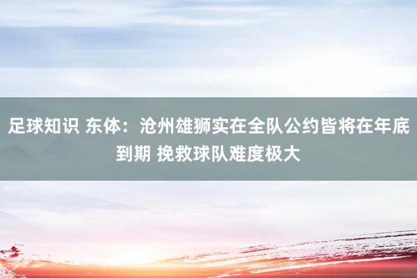 足球知识 东体：沧州雄狮实在全队公约皆将在年底到期 挽救球队难度极大