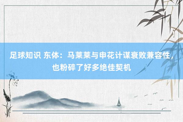 足球知识 东体：马莱莱与申花计谋衰败兼容性，也粉碎了好多绝佳契机