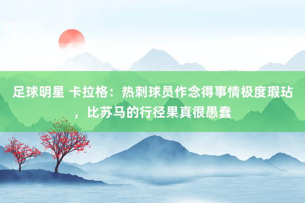 足球明星 卡拉格：热刺球员作念得事情极度瑕玷，比苏马的行径果真很愚蠢