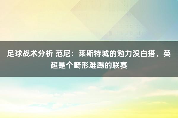 足球战术分析 范尼：莱斯特城的勉力没白搭，英超是个畸形难踢的联赛