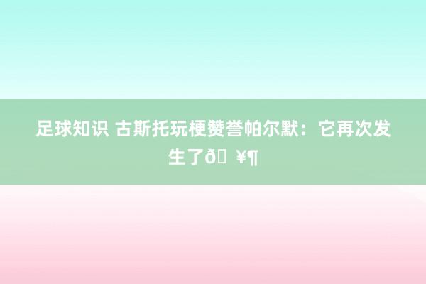 足球知识 古斯托玩梗赞誉帕尔默：它再次发生了🥶