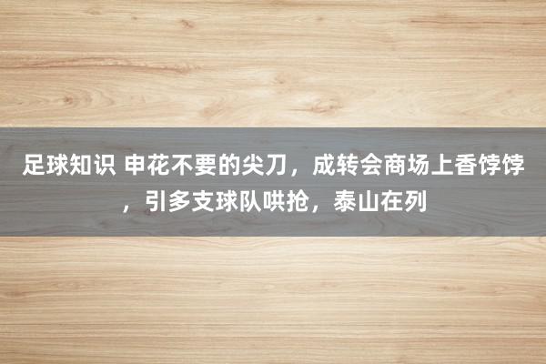 足球知识 申花不要的尖刀，成转会商场上香饽饽，引多支球队哄抢，泰山在列