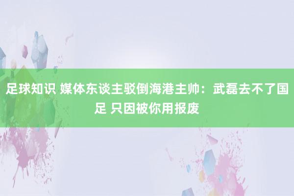 足球知识 媒体东谈主驳倒海港主帅：武磊去不了国足 只因被你用报废