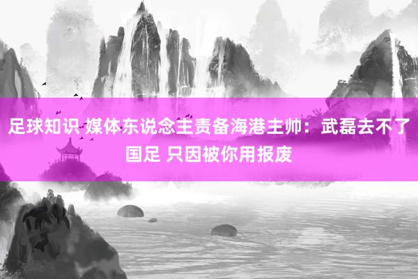 足球知识 媒体东说念主责备海港主帅：武磊去不了国足 只因被你用报废